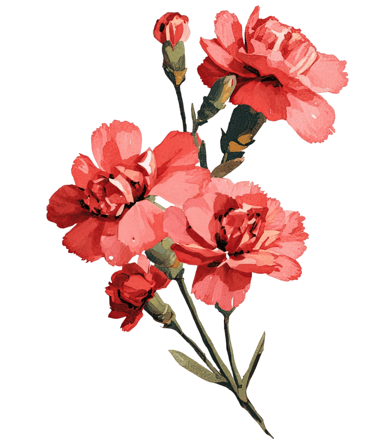 Image is not available